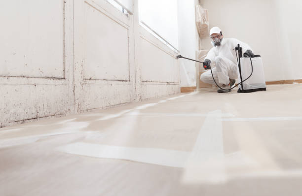 24/7 Emergency Black Mold Remediation experts in Trenton, GA